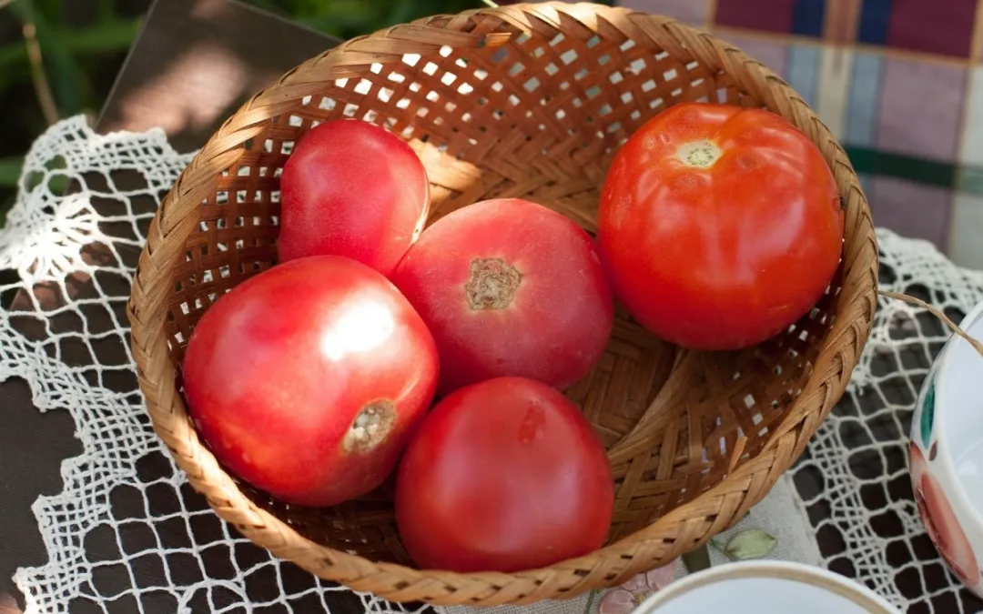 Pomidory – sezonowy niezbędnik cz.2
